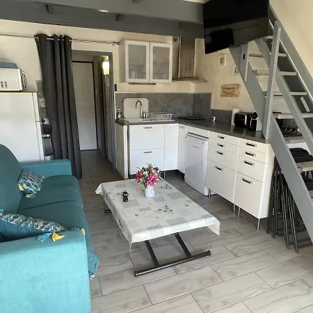 Διαμέρισμα 24m2 - Parking - Clim - Piscine - A 100m *